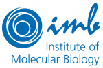 Blue IMB logo English